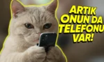 evcil-hayvanlar-icin-uretilen-ilk-akilli-telefon
